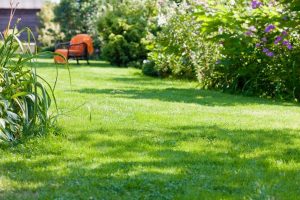 travaux jardin et paysage Ville-en-Blaisois